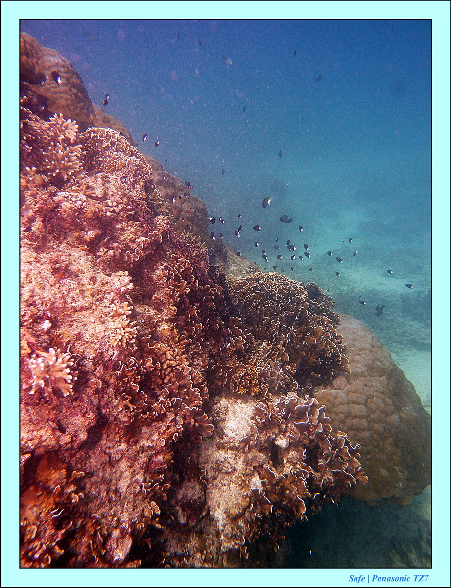 2012 - 07 - Gili - 53